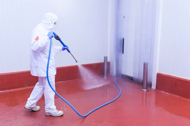 Best Boat and Dock Cleaning  in Sea Isle City, NJ